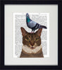 Funky Cat Framed Prints in Nine Different Designs