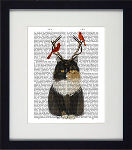 Funky Cat Framed Prints in Nine Different Designs