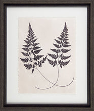 Load image into Gallery viewer, Vintage Fern Study Framed Pictures
