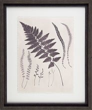 Load image into Gallery viewer, Vintage Fern Study Framed Pictures
