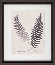 Load image into Gallery viewer, Vintage Fern Study Framed Pictures
