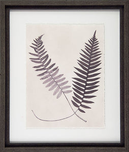 Vintage Fern Study Framed Pictures