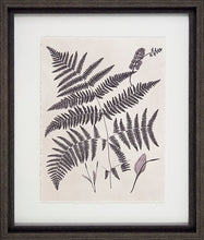 Load image into Gallery viewer, Vintage Fern Study Framed Pictures
