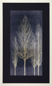 Silver Tree Silhouette by Kate Bennett