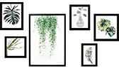 Plant Study Collection Six Framed Prints