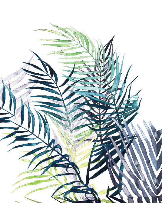 Twilight Palms by Grace Pop, Canvas Prints