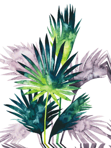 Twilight Palms by Grace Pop, Canvas Prints