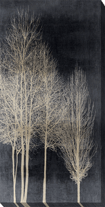 Silver Tree Silhouette by Kate Bennett