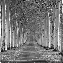 Load image into Gallery viewer, &#39;Epernay Trees&#39; Large Black &amp; White Framed Print
